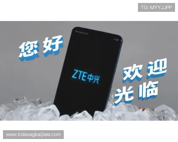 中国集团DB真人旗舰的品牌优势与市场竞争力全面解析